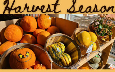 Celebrate Harvest Season with Us!