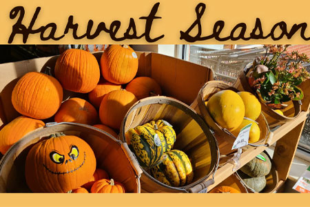 Celebrate Harvest Season with Us!