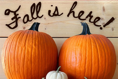 Pumpkins in Store Now!  Fall is HERE!