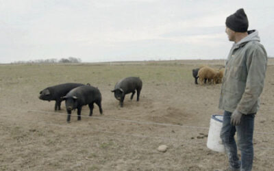 Local Fruits, Local Meats, & More!