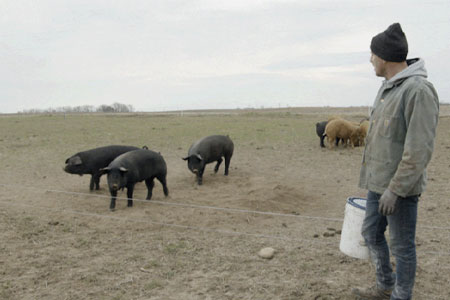 Local Fruits, Local Meats, & More!