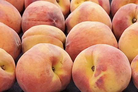 Local Peaches | Heirloom Tomatoes | Shiro Plums