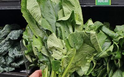 Sungold Cherry Tomatoes, Snap Peas, & Local Cheeses