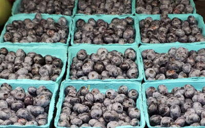 Local Mixed Cherry Tomatoes, Cantaloupe, and Bullhorn Peppers
