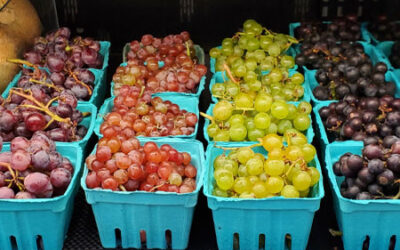 Local Grapes, San Marzano Tomatoes, and Hot Peppers!