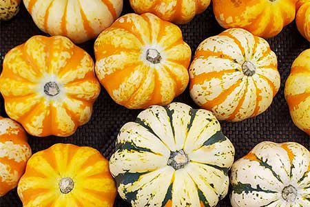 20% Off Local Peppers & New Co-op Deals