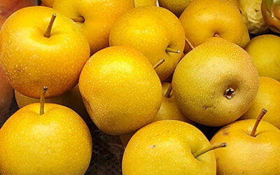 20% Off Local Grapes & New Fall Fruits