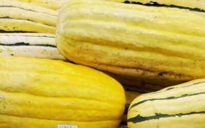 Local Squash, Sweet Potatoes, & More