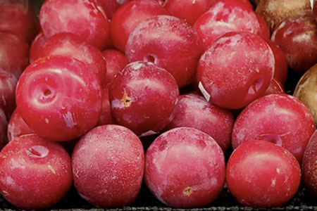 Local Bubblegum Plums, Black Cherry Tomatoes, & Tropea Onions