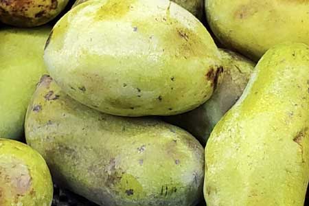 Local Paw Paws, Fall Radishes & Apples