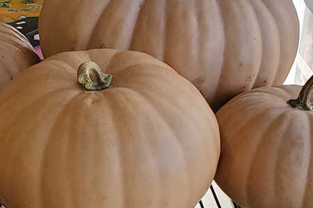 Local Apples, Spinach, & Daikon Radishes