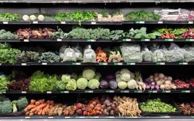 Baby Bok Choy, Heirloom Squash, and Fall Greens!