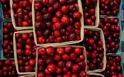 Turkeys, Fresh Leafy Greens, Squash!