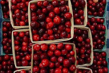 Turkeys, Fresh Leafy Greens, Squash!