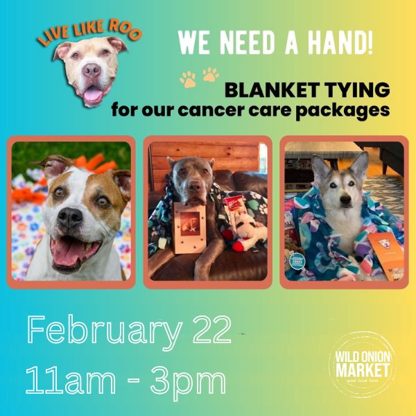 colorful poster with logo, event details, and photos of dogs