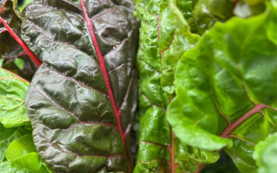 Leafy Greens, Sitka Shrimp, and Local Potatoes!