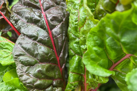 Leafy Greens, Sitka Shrimp, and Local Potatoes!