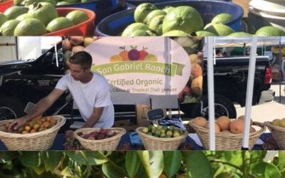 Fermentor Fridays: Living Liquids