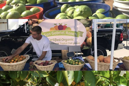 Fermentor Fridays: Living Liquids