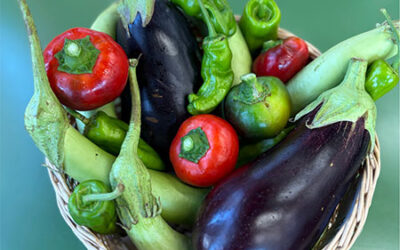 Italian Eggplant, Calabrian Peppers, Peaches