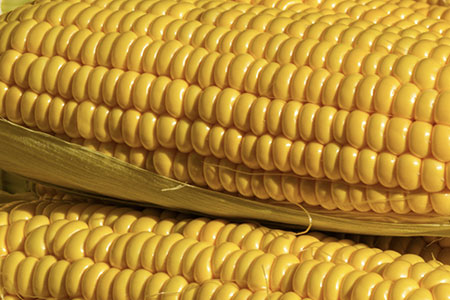 Sweet Corn, Sungold Tomatoes, Jimmy Nardello Peppers