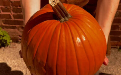 Root Vegetables, Maple Syrup, and Pumpkins!