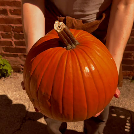 Root Vegetables, Maple Syrup, and Pumpkins!