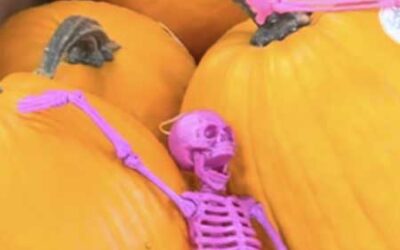 Spooky Season: Pumpkins, Huckleberries, Sweet Corn