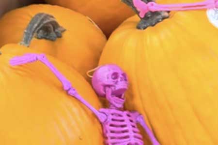 Spooky Season: Pumpkins, Huckleberries, Sweet Corn